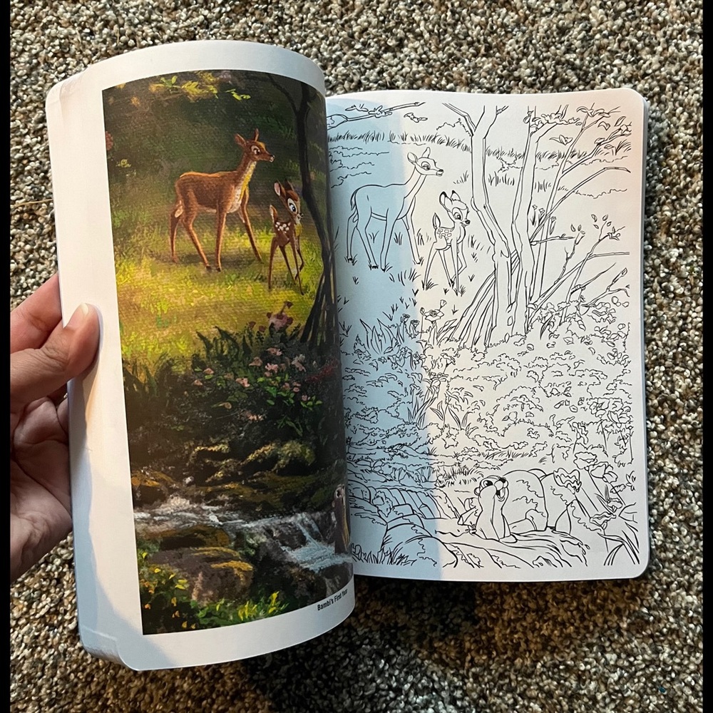 ✨ HP ✨ Disney Dreams Collection (Advanced/Adult) Coloring Book by... - Picture 9 of 12